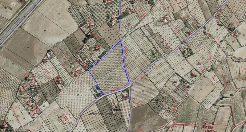 Terrain à vendre dans Sax, Alicante