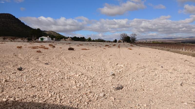 Land til salgs Land til salgs