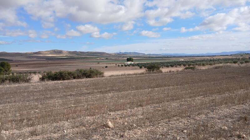 Land til salgs Land til salgs