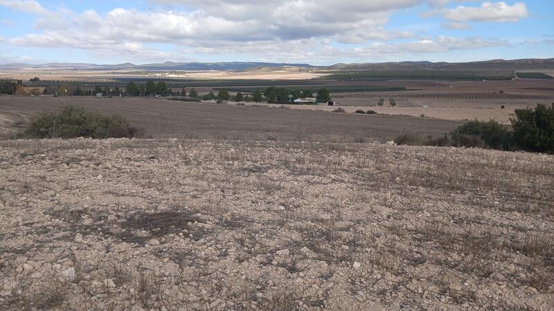 Land til salgs Land til salgs