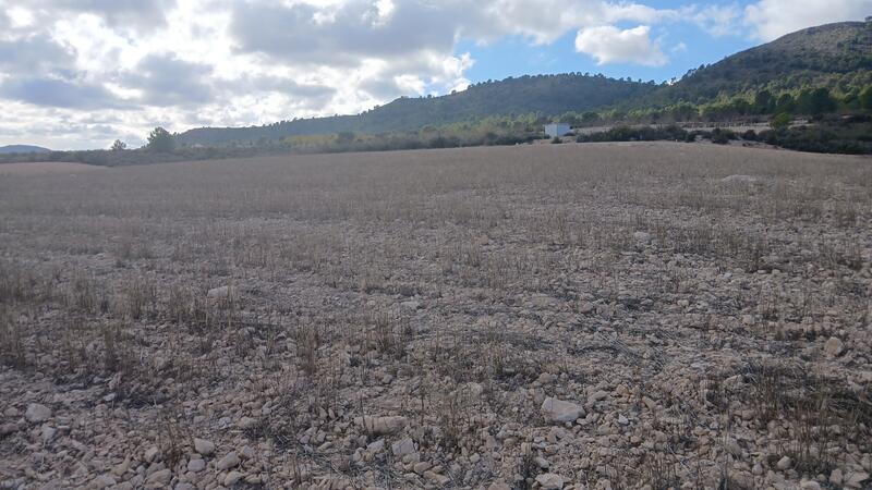 Land til salgs Land til salgs