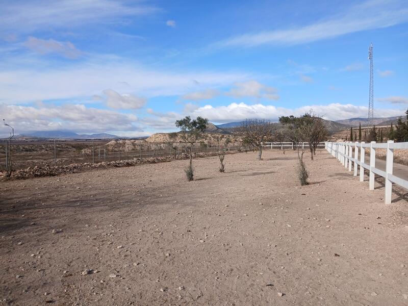 3 soverom Herregård til salgs