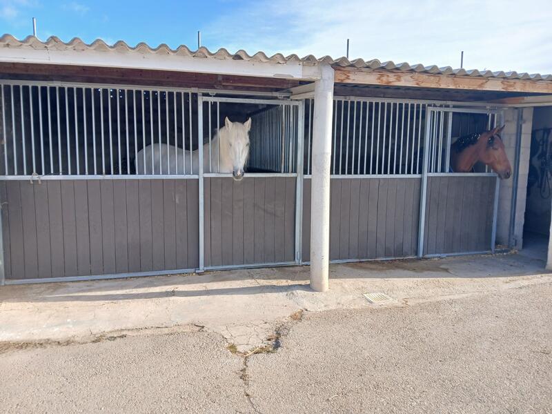 3 soverom Herregård til salgs