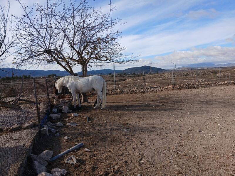 3 soverom Herregård til salgs