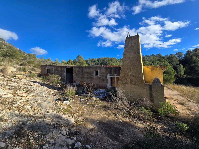 3 chambre Villa à vendre