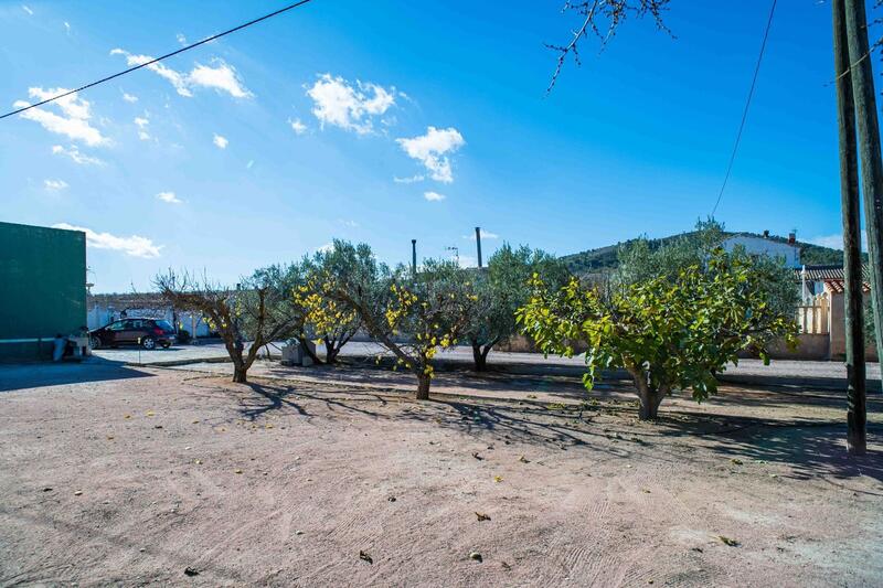 5 Cuarto Casa de Campo en venta