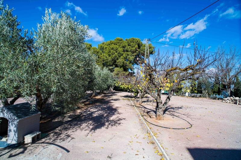 5 Cuarto Casa de Campo en venta