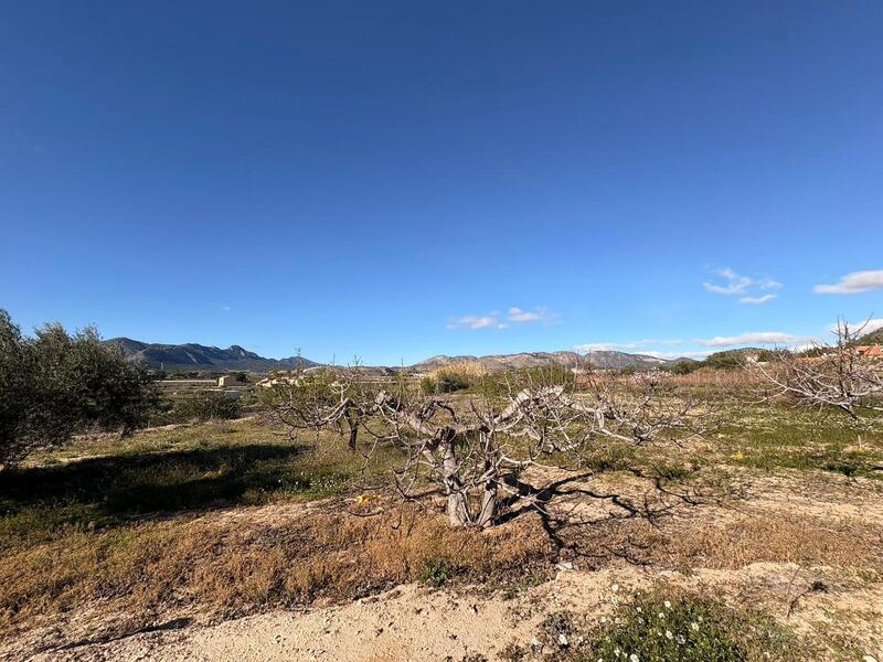 4 спальная комната Деревенский Дом продается