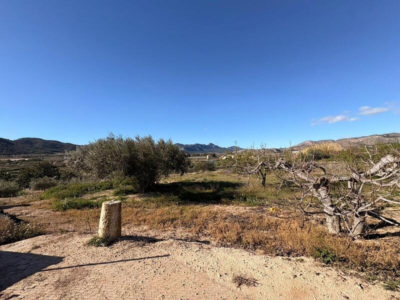 4 спальная комната Деревенский Дом продается