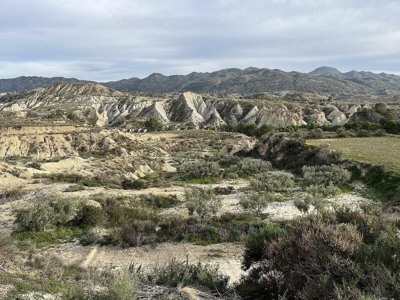 Grottahus till salu i Abanilla, Murcia