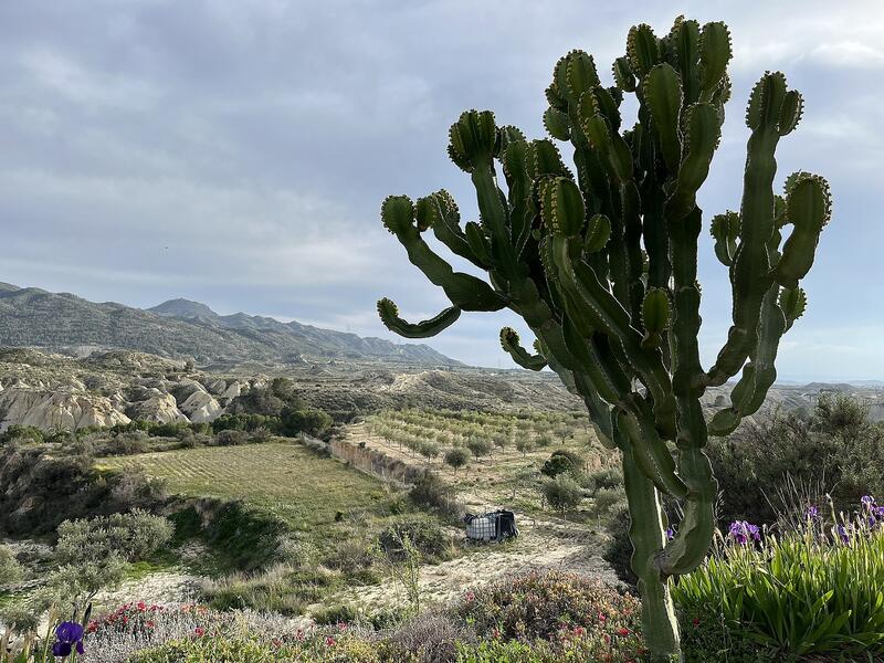 4 sovrum Grottahus till salu