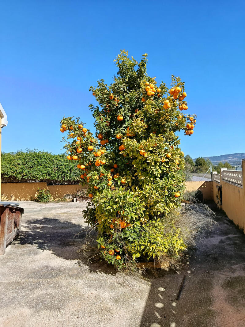 3 bedroom Country House for sale