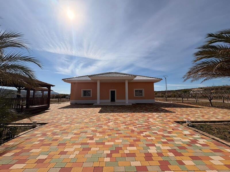 Villa en venta en Pinoso, Alicante
