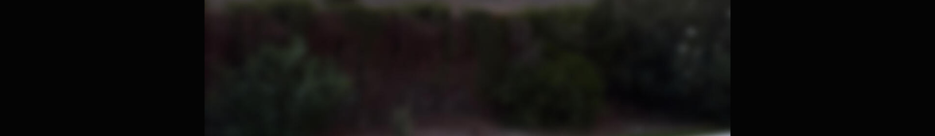 2 soveværelse Landsted til salg