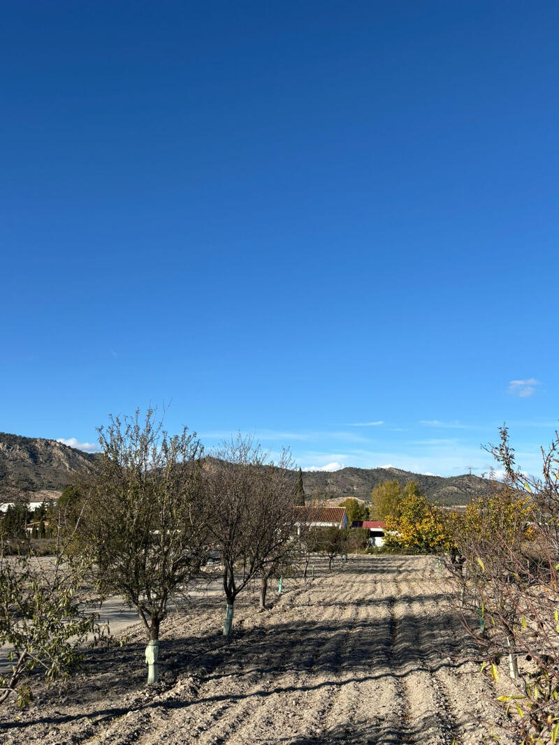 2 soveværelse Landsted til salg