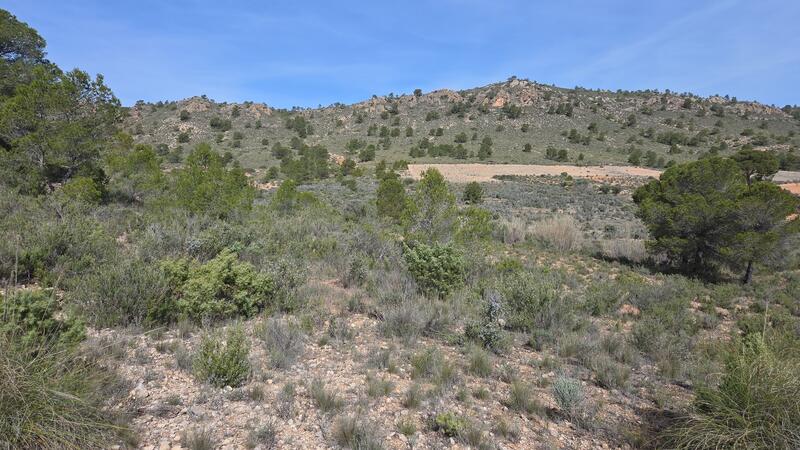 Land for sale Land for sale