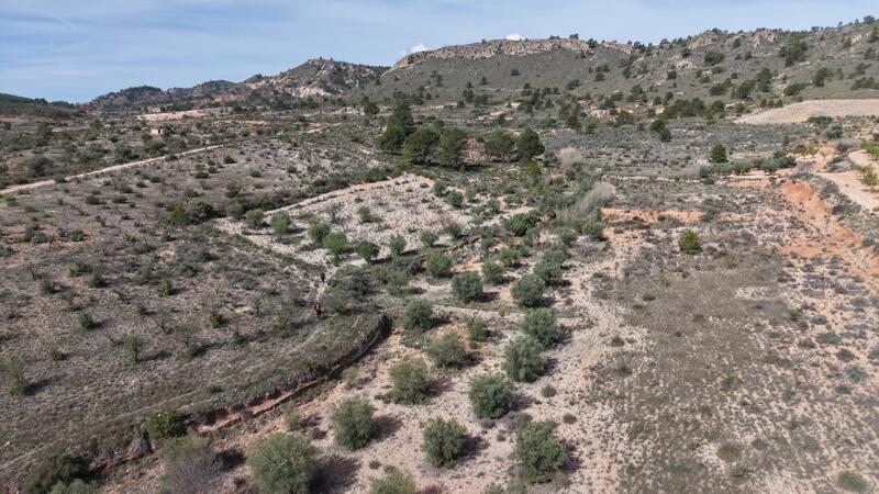 Land for sale Land for sale