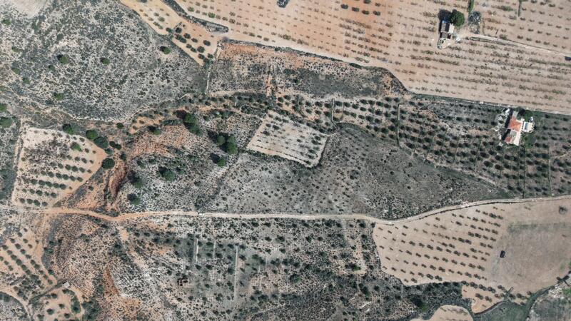 Land for sale Land for sale