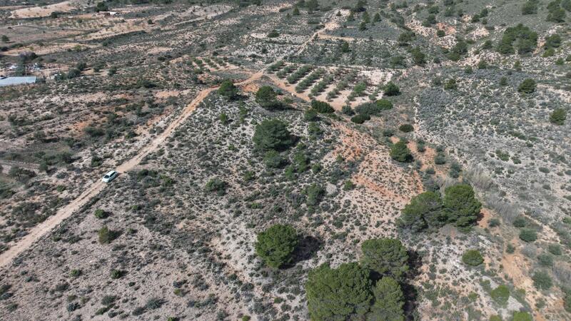 Land for sale Land for sale