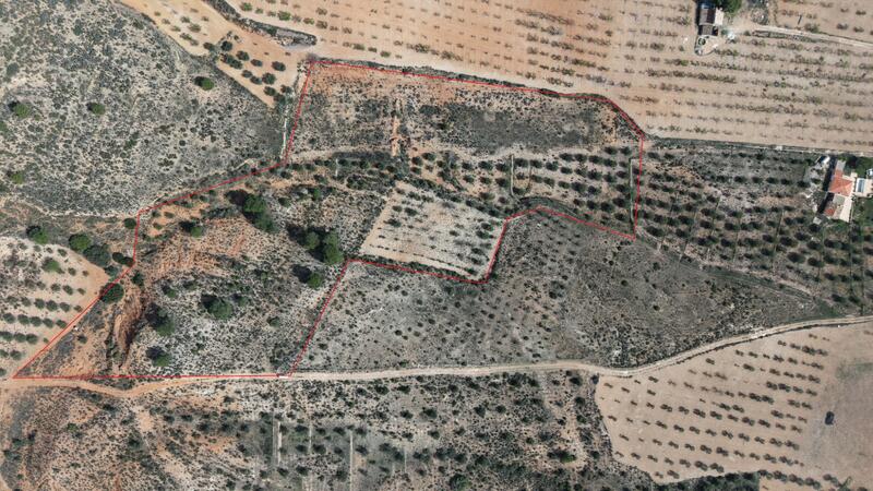 Land for sale Land for sale