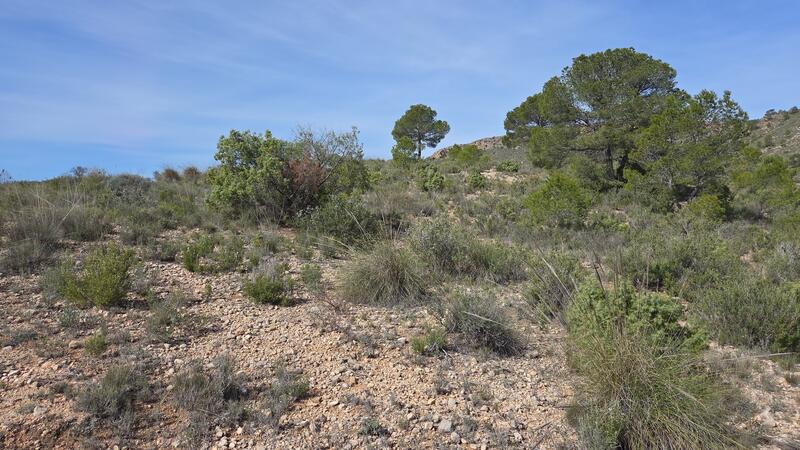 Land for sale Land for sale