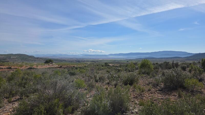 Land for sale Land for sale