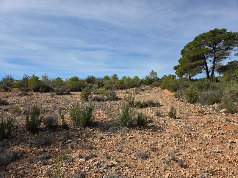 Land for sale Land for sale