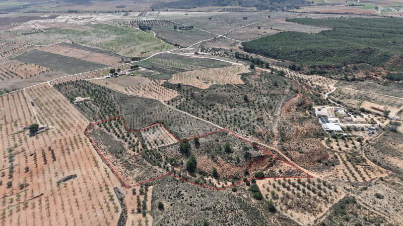 Land for sale Land for sale