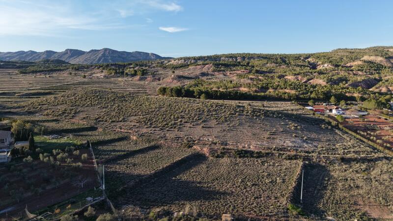 Land Te koop in Yecla, Murcia