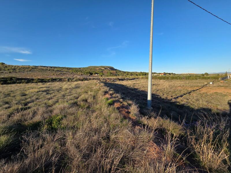 Land for sale Land for sale