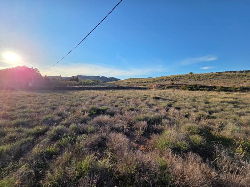 Land for sale Land for sale