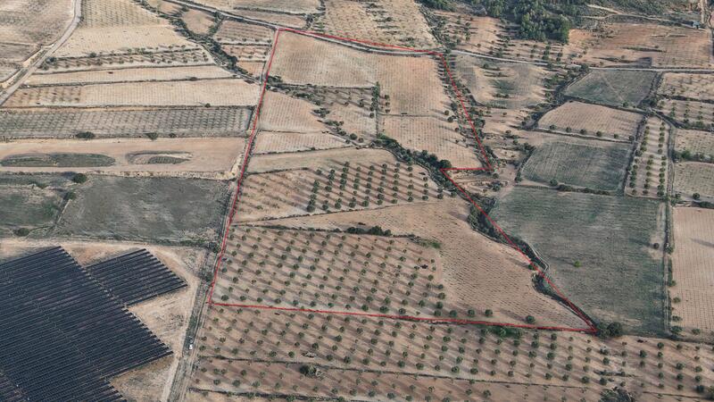 Land for sale Land for sale