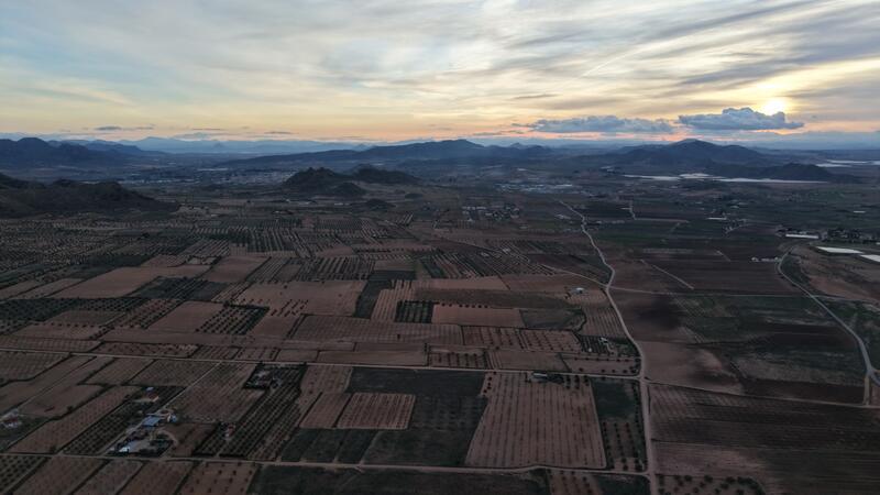 Land for sale Land for sale