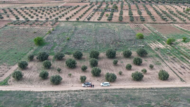 земля продается