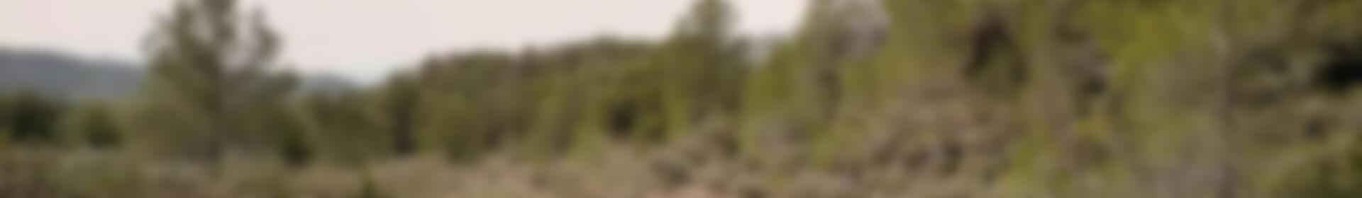 земля продается