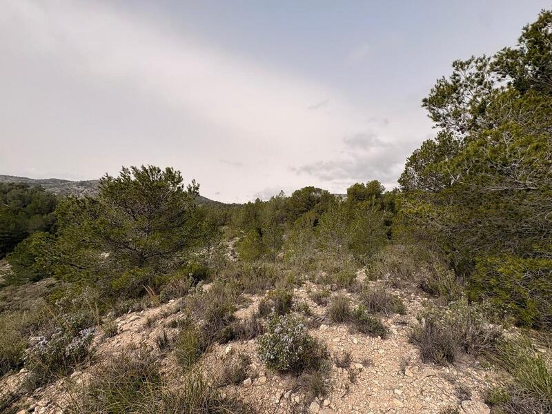 земля продается