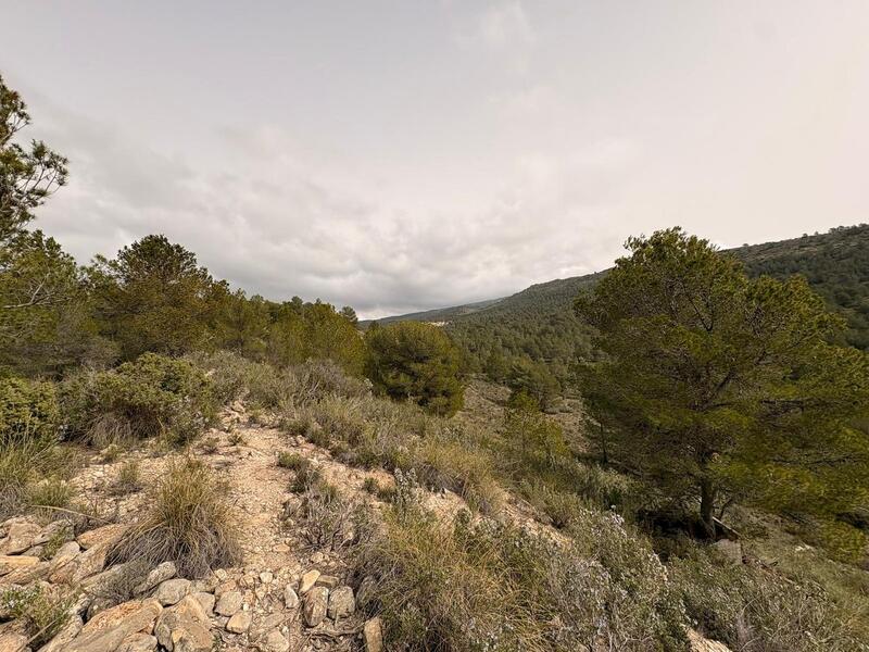 земля продается