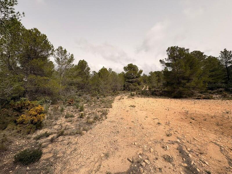 земля продается