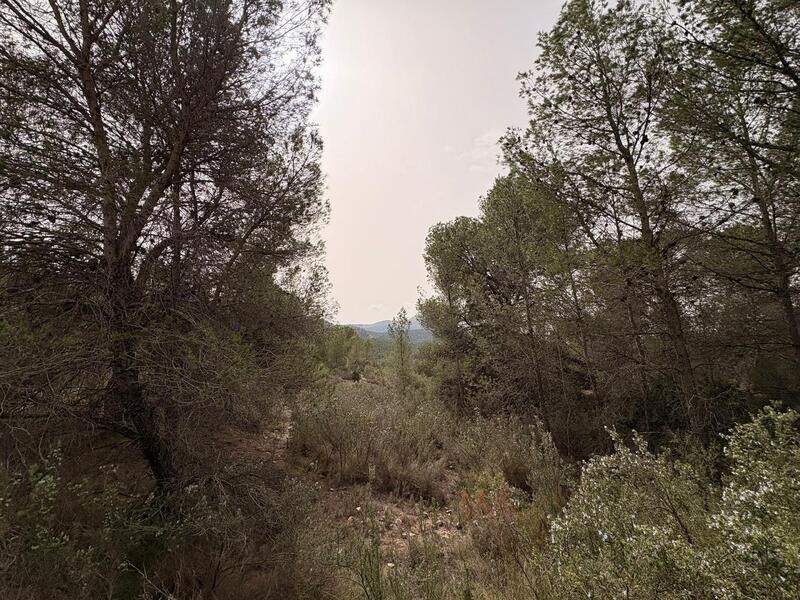 земля продается