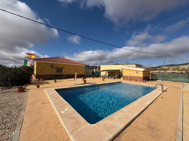 Villa for sale in Pinoso, Alicante