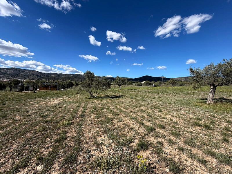 Terrenos en venta en Onil, Alicante