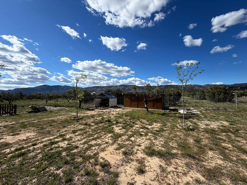 земля продается