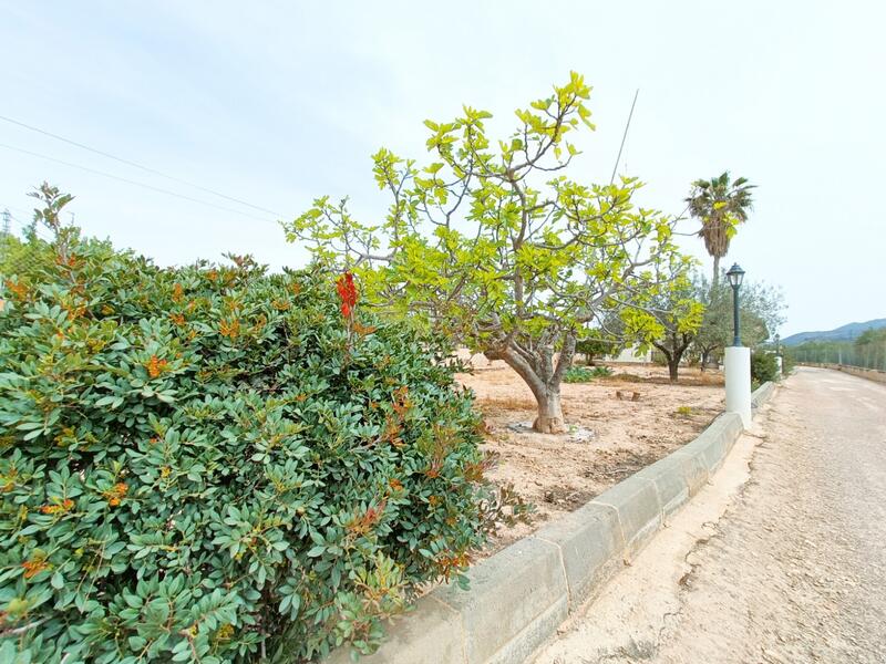 4 Cuarto Villa en venta