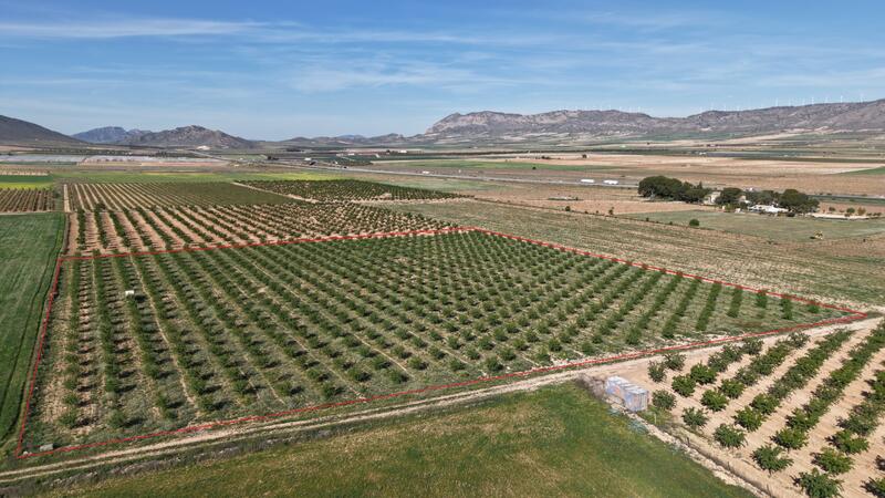 Land Te koop in Yecla, Murcia