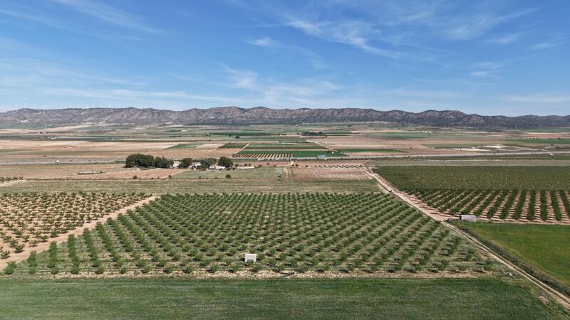 Land for sale