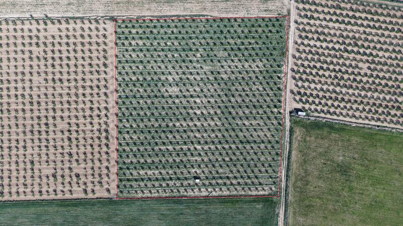 Land for sale
