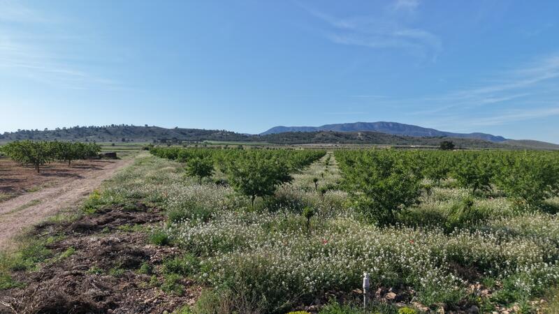 Land for sale