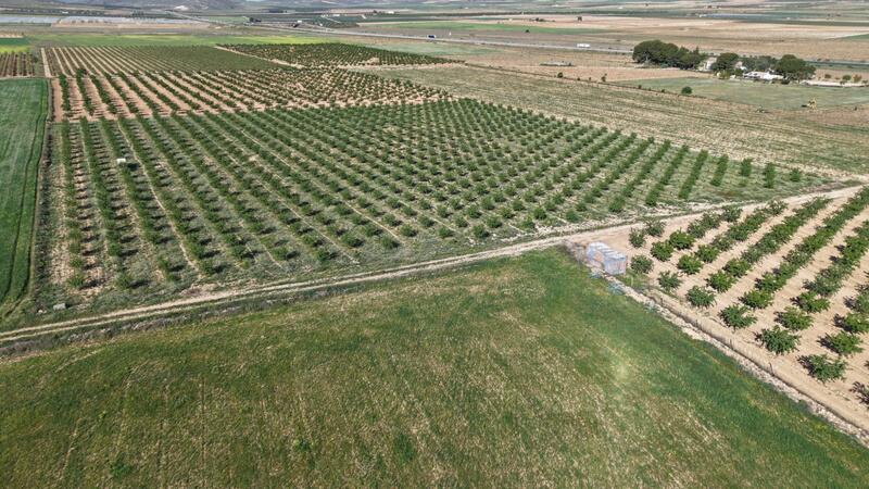 Land for sale