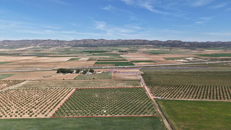 Land for sale