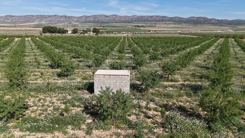 Land for sale